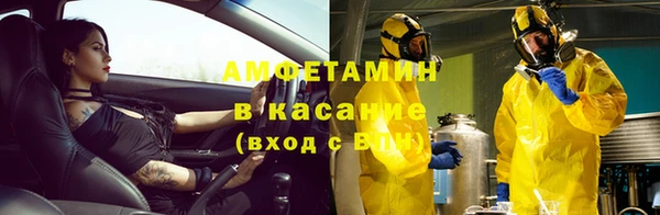 сатива Пересвет
