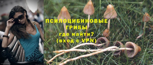 соль курить ск Арсеньев