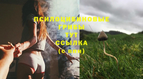 соль курить ск Арсеньев