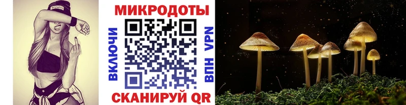 Галлюциногенные грибы Cubensis  где найти наркотики  Новодвинск 